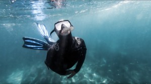 freediver